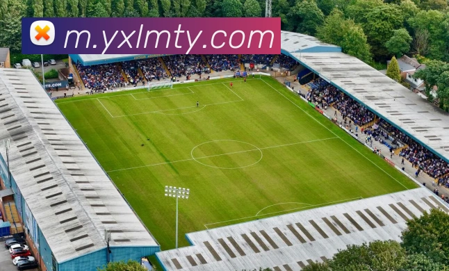 对战数据统计